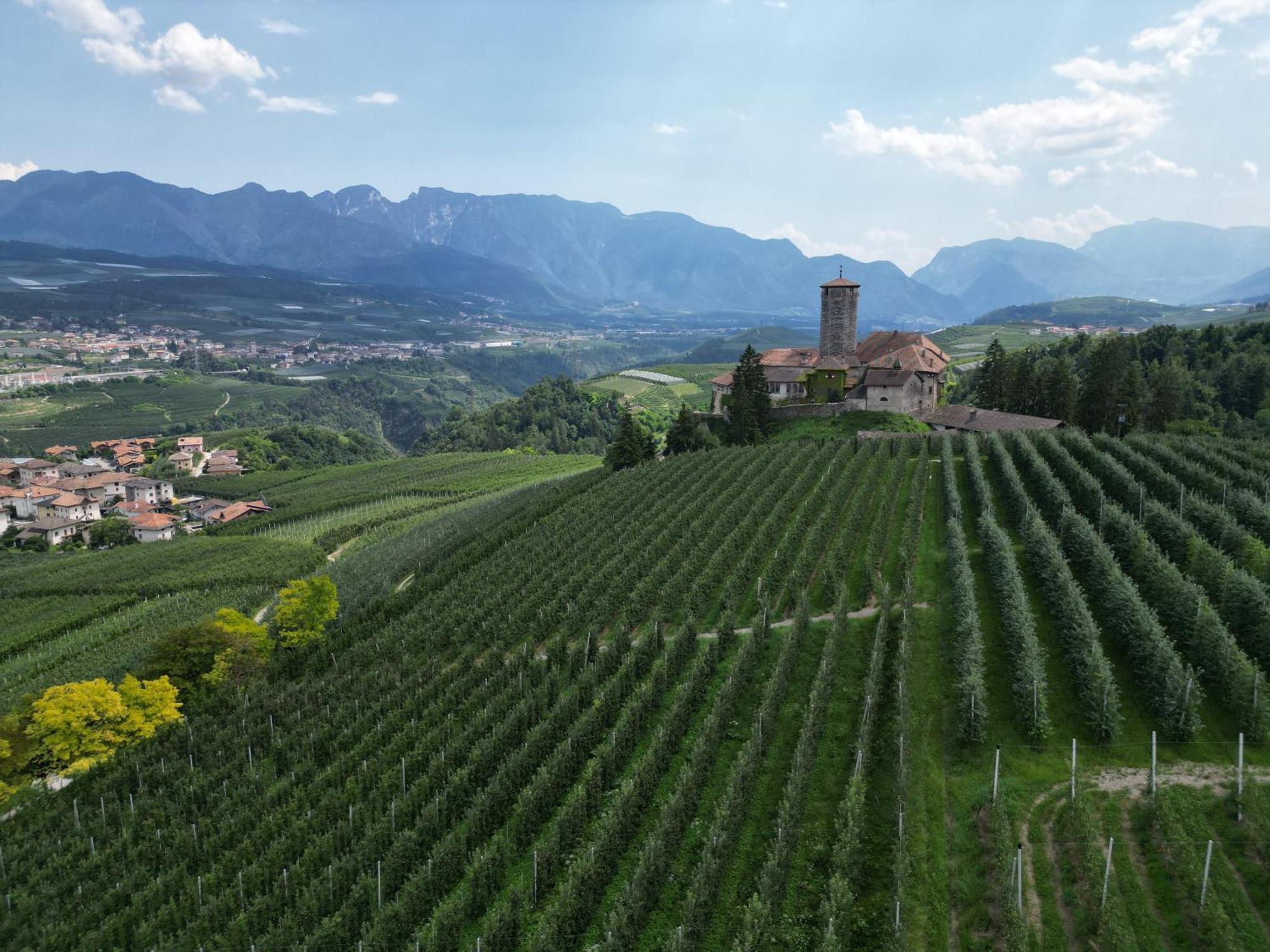 Maso Valer - Agritur Lägenhet Tassullo Exteriör bild