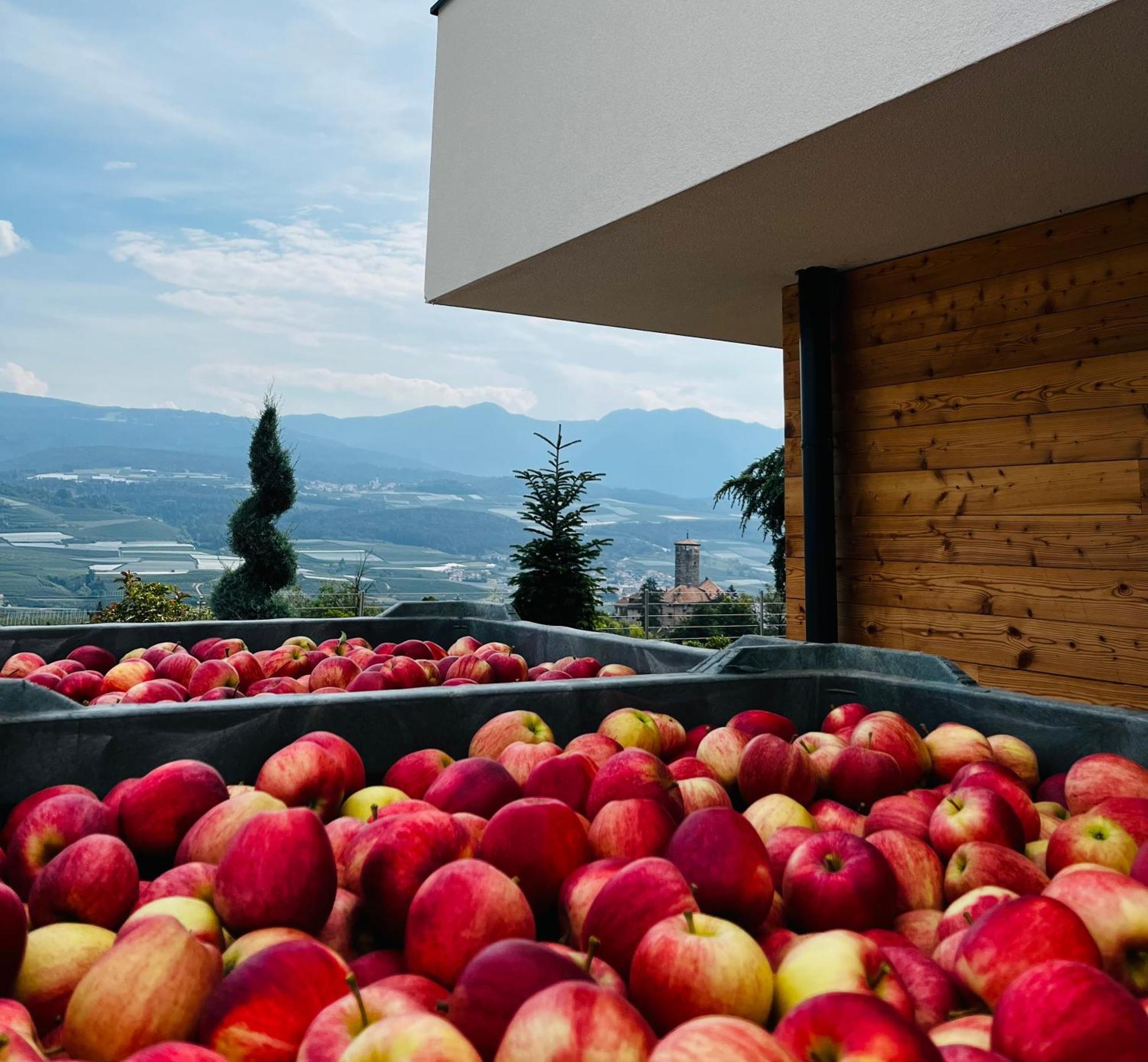 Maso Valer - Agritur Lägenhet Tassullo Exteriör bild